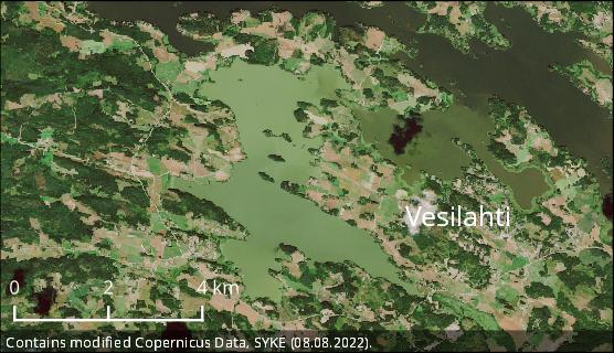  In places, there are abundant cyanobacteria in eutrophic lakes or parts of lakes. Satellite observation from Vesilahti on Monday 8 August 2022. 